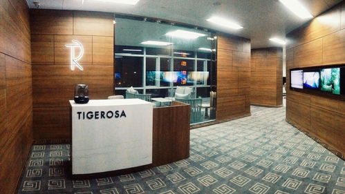 成都老虎薔薇建筑裝飾工程有限責(zé)任公司